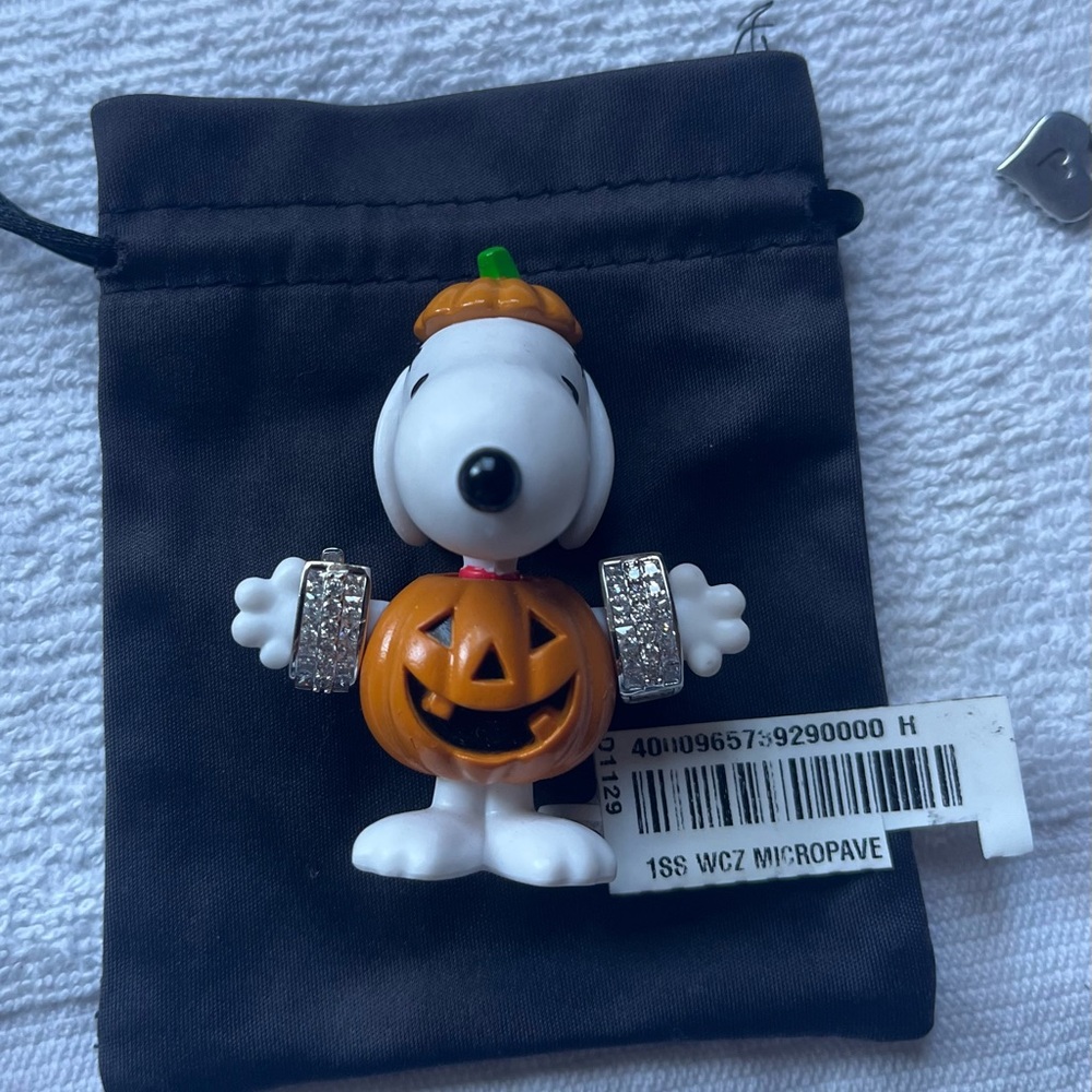 Sterling silver  earrings